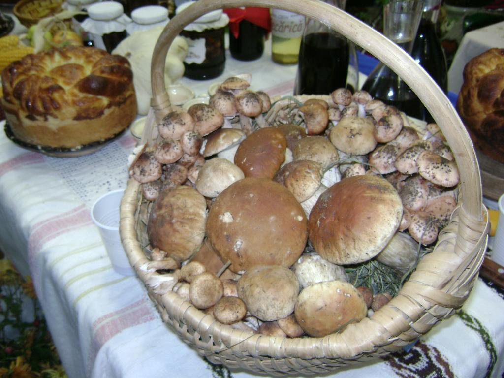 バマ Casa Bunicii Din Bucovinaヴィラ 部屋 写真