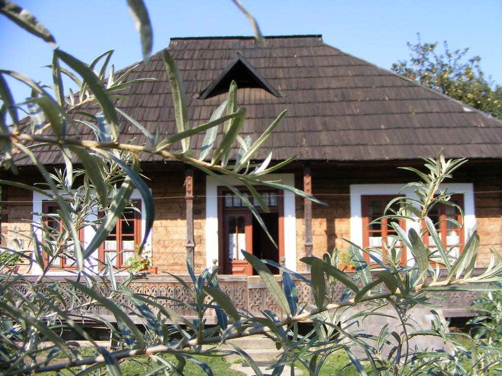 バマ Casa Bunicii Din Bucovinaヴィラ エクステリア 写真