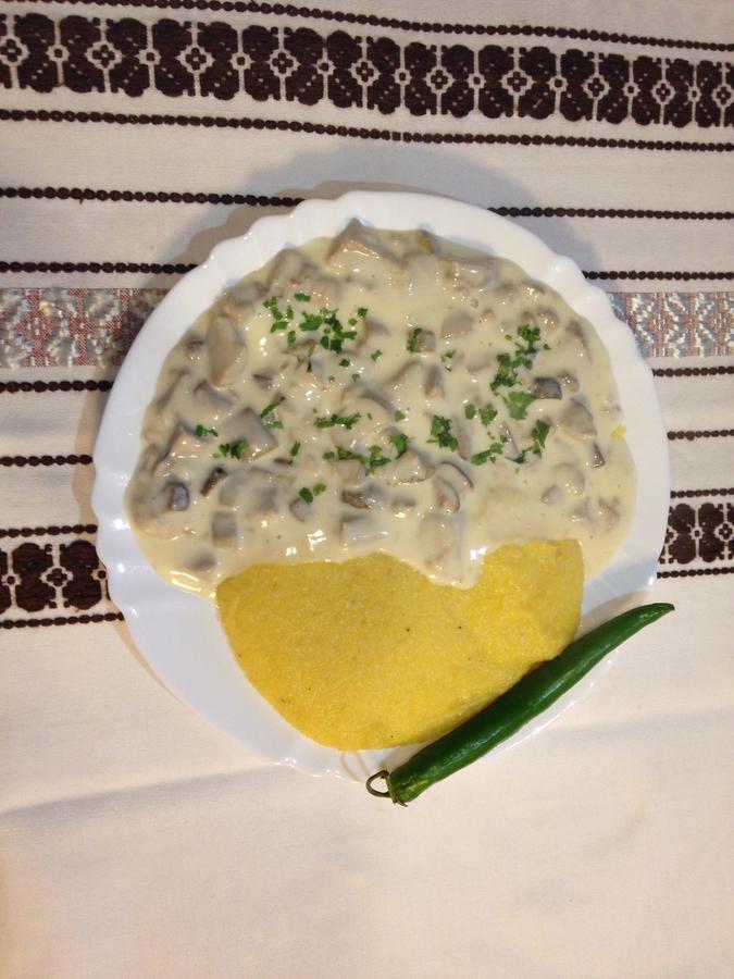 バマ Casa Bunicii Din Bucovinaヴィラ エクステリア 写真